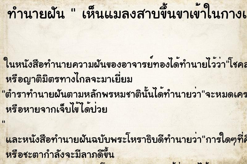 ทำนายฝันเห็นแมลงสาบขึ้นขาเข้าในกางเกงเยอะมาก ทำนายฝันทำนายฝันเห็นแมลงสาบขึ้นขาเข้าในกางเกงเยอะมาก